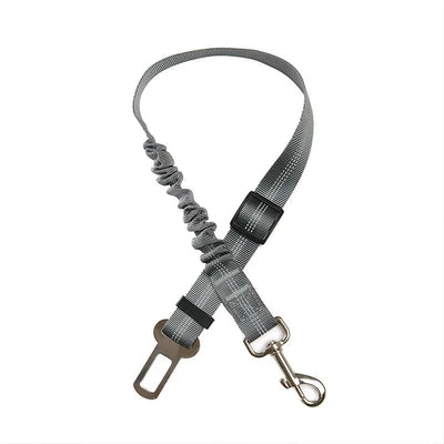 https://cdn.shopify.com/s/files/1/0647/9170/7830/files/ceinture-de-securite-elastique-pour-chien-6476254.webp?v=1777924995