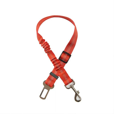https://cdn.shopify.com/s/files/1/0647/9170/7830/files/ceinture-de-securite-elastique-pour-chien-8588638.webp?v=1777924995