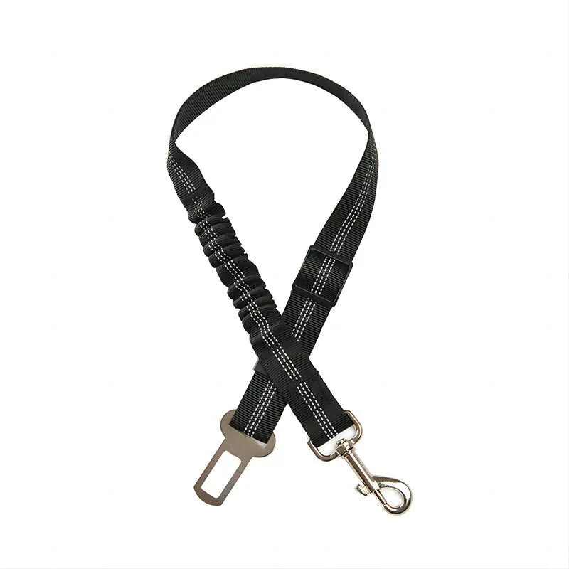 https://cdn.shopify.com/s/files/1/0647/9170/7830/files/ceinture-de-securite-elastique-pour-chien-8689026.webp?v=1777924995