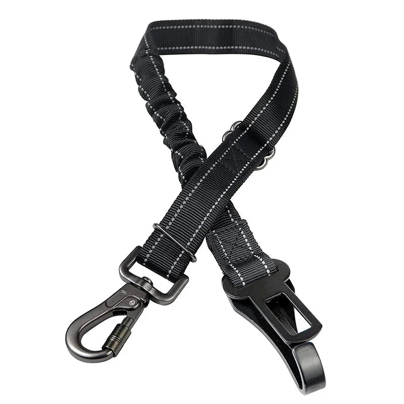 https://cdn.shopify.com/s/files/1/0647/9170/7830/files/ceinture-de-securite-renforce-pour-chien-4533228.webp?v=1777925528