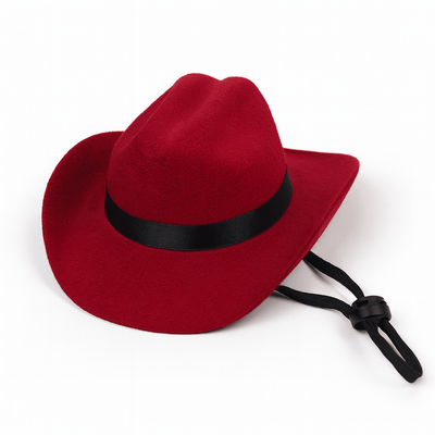 https://cdn.shopify.com/s/files/1/0647/9170/7830/files/chapeau-cowboy-pour-chien-1128122.png?v=1777925412