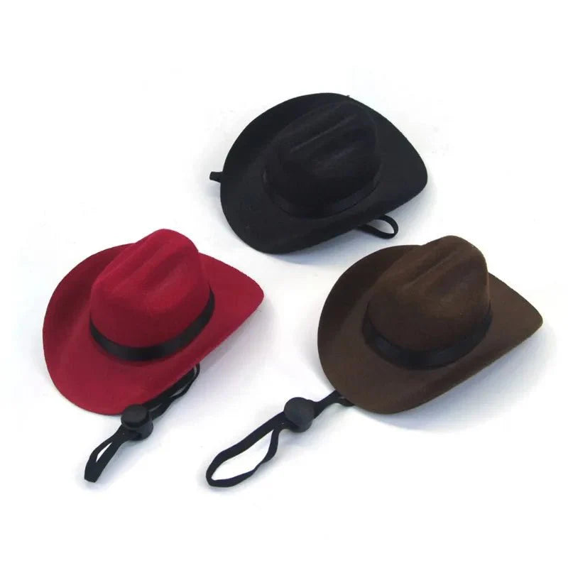 https://cdn.shopify.com/s/files/1/0647/9170/7830/files/chapeau-cowboy-pour-chien-1208077.webp?v=1777925411