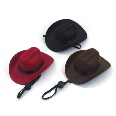 https://cdn.shopify.com/s/files/1/0647/9170/7830/files/chapeau-cowboy-pour-chien-1208077.webp?v=1777925411