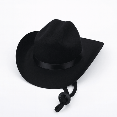 https://cdn.shopify.com/s/files/1/0647/9170/7830/files/chapeau-cowboy-pour-chien-5455939.png?v=1777925415