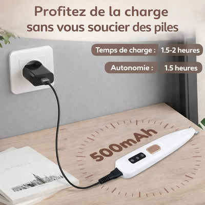 https://cdn.shopify.com/s/files/1/0489/2898/1148/files/chargefr.jpg?v=1767684763