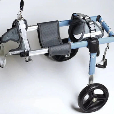 https://cdn.shopify.com/s/files/1/0647/9170/7830/files/chariot-de-marche-pour-chien-4513466.webp?v=1777925410