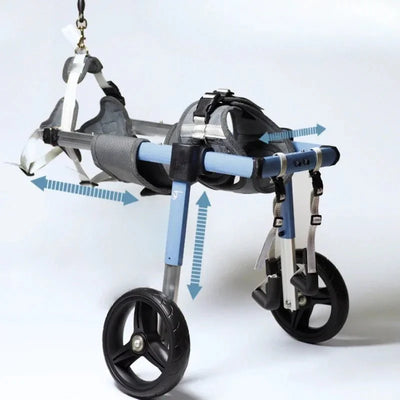 https://cdn.shopify.com/s/files/1/0647/9170/7830/files/chariot-de-marche-pour-chien-6184639.webp?v=1777925410