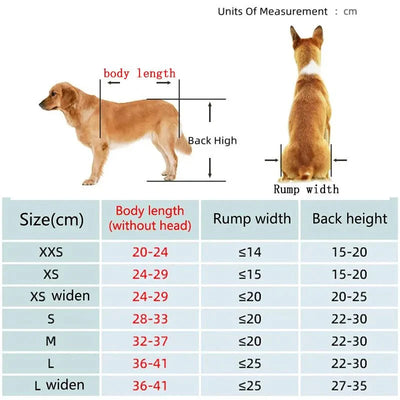 https://cdn.shopify.com/s/files/1/0647/9170/7830/files/chariot-pour-chien-a-mobilite-reduite-4708213.webp?v=1777925233