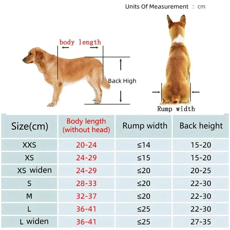 https://cdn.shopify.com/s/files/1/0647/9170/7830/files/chariot-pour-chien-a-mobilite-reduite-6346192.png?v=1777925233