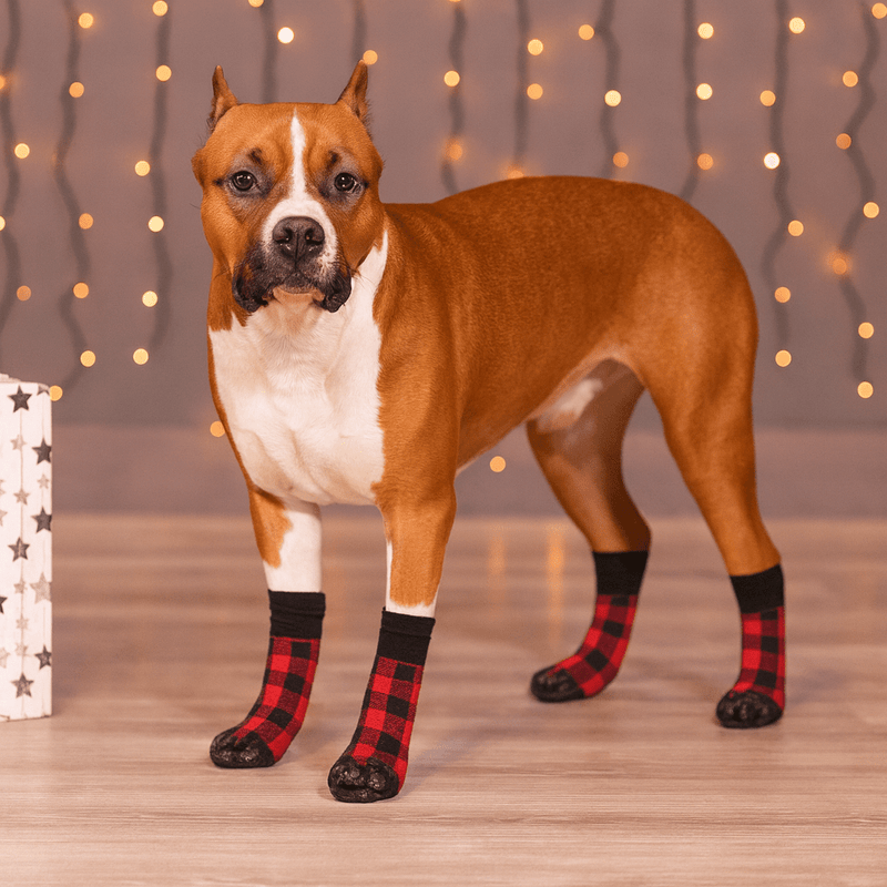https://cdn.shopify.com/s/files/1/0647/9170/7830/files/chaussette-ajustable-anti-derapante-pour-chien-5175713.webp?v=1777925289