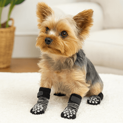 https://cdn.shopify.com/s/files/1/0647/9170/7830/files/chaussette-anti-derapante-pour-chien-4863031.png?v=1777925234