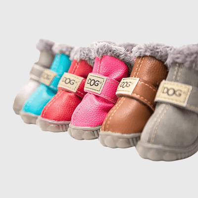 https://cdn.shopify.com/s/files/1/0763/9767/4819/files/chaussette_pour_chien_neige_modele.png?v=1752237263