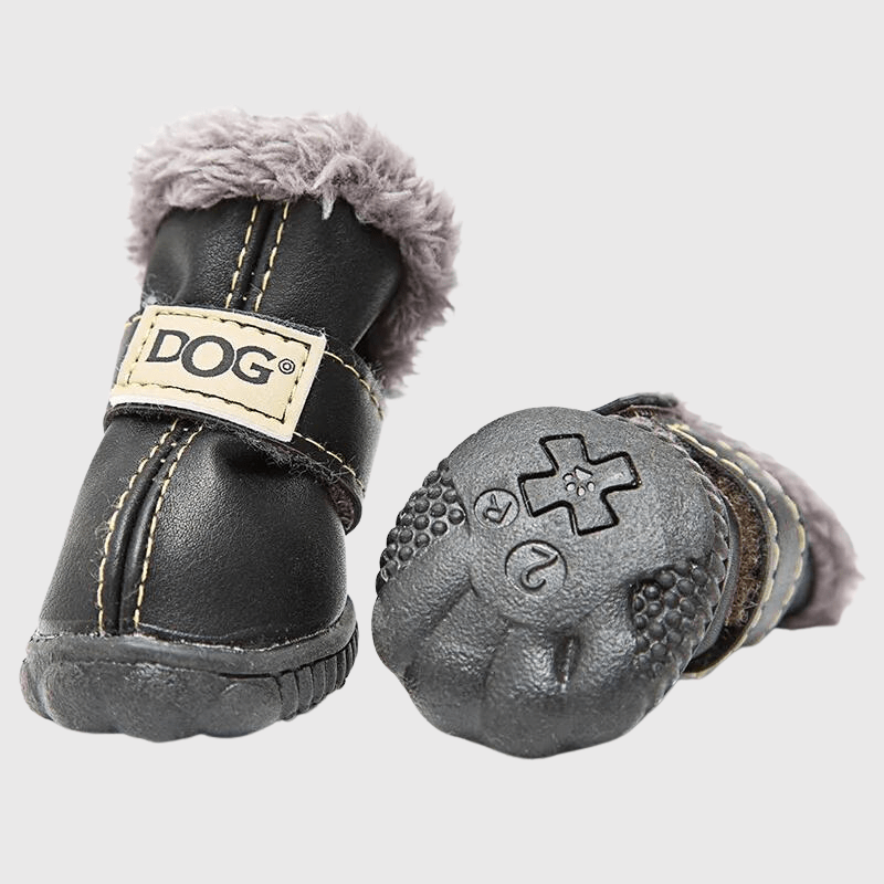 https://cdn.shopify.com/s/files/1/0763/9767/4819/files/chaussette_pour_chien_neige_caniche.png?v=1752237279