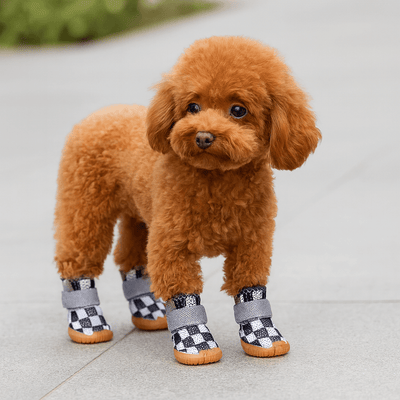 https://cdn.shopify.com/s/files/1/0647/9170/7830/files/chaussure-pour-chien-2896155.png?v=1777925179