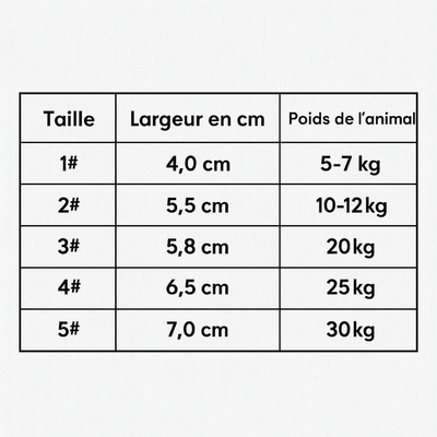 https://cdn.shopify.com/s/files/1/0647/9170/7830/files/chaussures-resistantes-pour-chien-6021250.png?v=1777925413