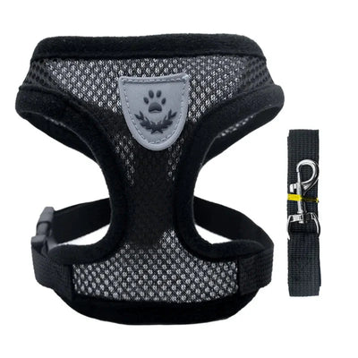 https://cdn.shopify.com/s/files/1/0647/9170/7830/files/chiot-harnais-3695165.webp?v=1777925293
