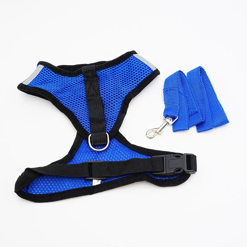 https://cdn.shopify.com/s/files/1/0647/9170/7830/files/chiot-harnais-6019498.webp?v=1777925293