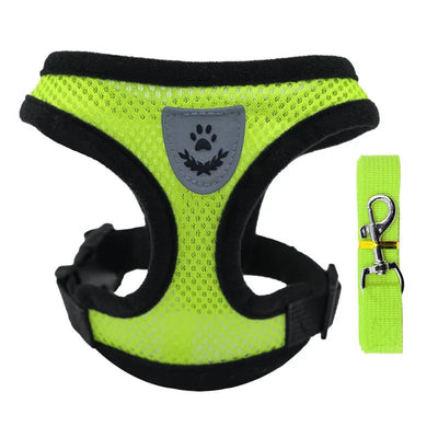 https://cdn.shopify.com/s/files/1/0647/9170/7830/files/chiot-harnais-3878380.webp?v=1777925292