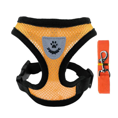 https://cdn.shopify.com/s/files/1/0647/9170/7830/files/chiot-harnais-5139747.webp?v=1777925291