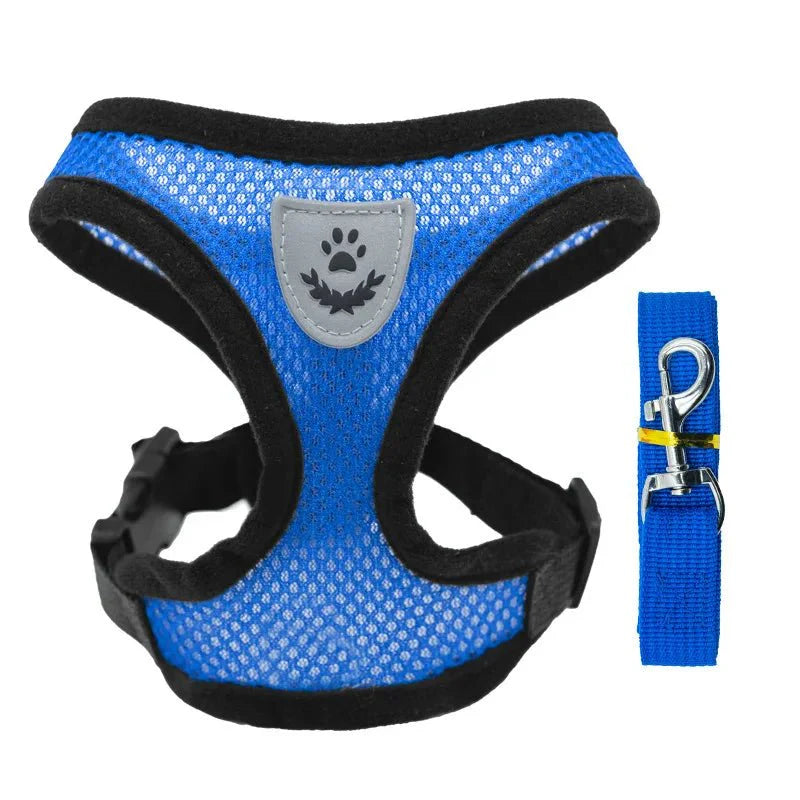 https://cdn.shopify.com/s/files/1/0647/9170/7830/files/chiot-harnais-6019498.webp?v=1777925293