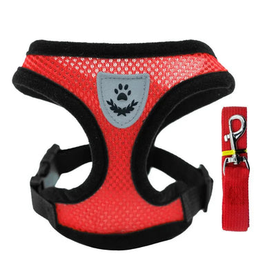 https://cdn.shopify.com/s/files/1/0647/9170/7830/files/chiot-harnais-7575460.webp?v=1777925292