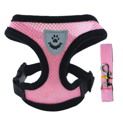 https://cdn.shopify.com/s/files/1/0647/9170/7830/files/chiot-harnais-9374661.webp?v=1777925292