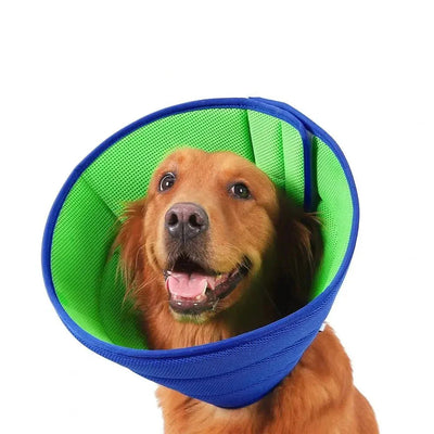 https://cdn.shopify.com/s/files/1/0647/9170/7830/files/collerette-pour-chien-2365645.webp?v=1777925591