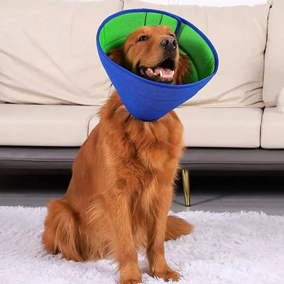 https://cdn.shopify.com/s/files/1/0647/9170/7830/files/collerette-pour-chien-5366145.webp?v=1777925592
