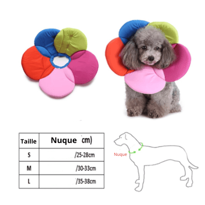 https://cdn.shopify.com/s/files/1/0763/9767/4819/files/collerette_chien_en_forme_de_fleur_vache_Taille.png?v=1699967252