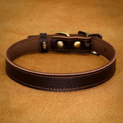 https://cdn.shopify.com/s/files/1/0647/9170/7830/files/collier-ajustable-en-cuir-pour-chien-3465542.webp?v=1777924634