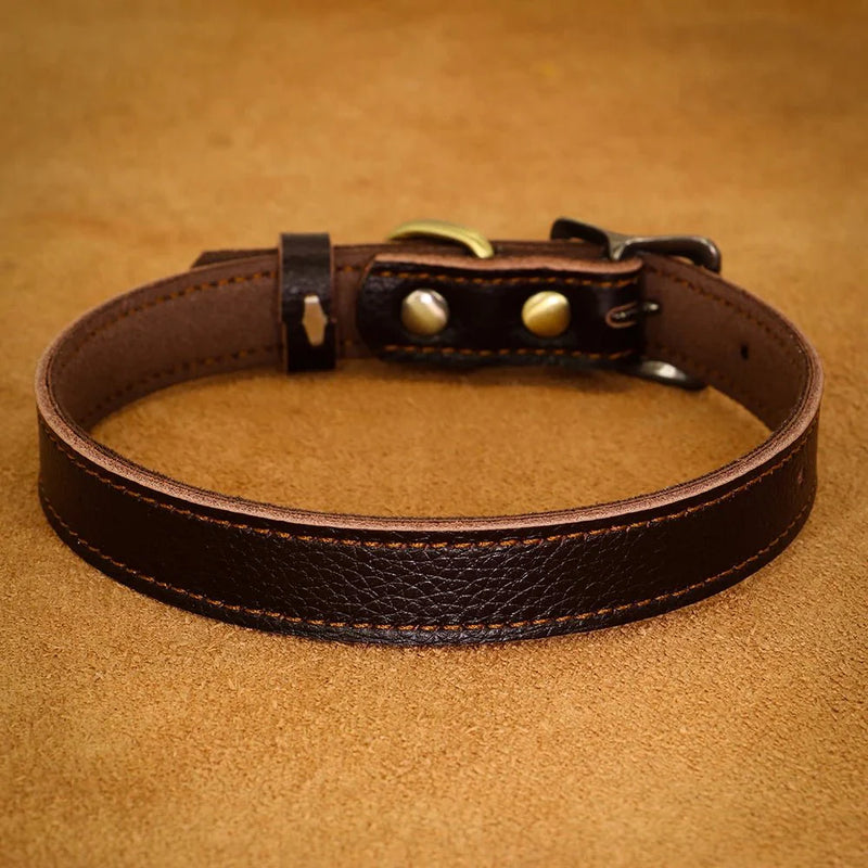https://cdn.shopify.com/s/files/1/0647/9170/7830/files/collier-ajustable-en-cuir-pour-chien-4949152.webp?v=1777924633