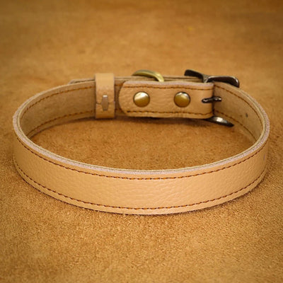 https://cdn.shopify.com/s/files/1/0647/9170/7830/files/collier-ajustable-en-cuir-pour-chien-4275330.webp?v=1777924634
