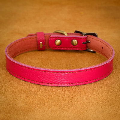 https://cdn.shopify.com/s/files/1/0647/9170/7830/files/collier-ajustable-en-cuir-pour-chien-4406487.webp?v=1777924634