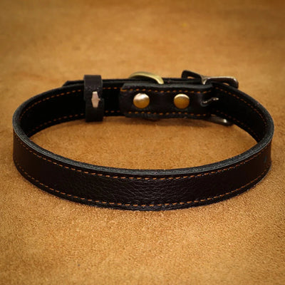 https://cdn.shopify.com/s/files/1/0647/9170/7830/files/collier-ajustable-en-cuir-pour-chien-4717663.webp?v=1777924635