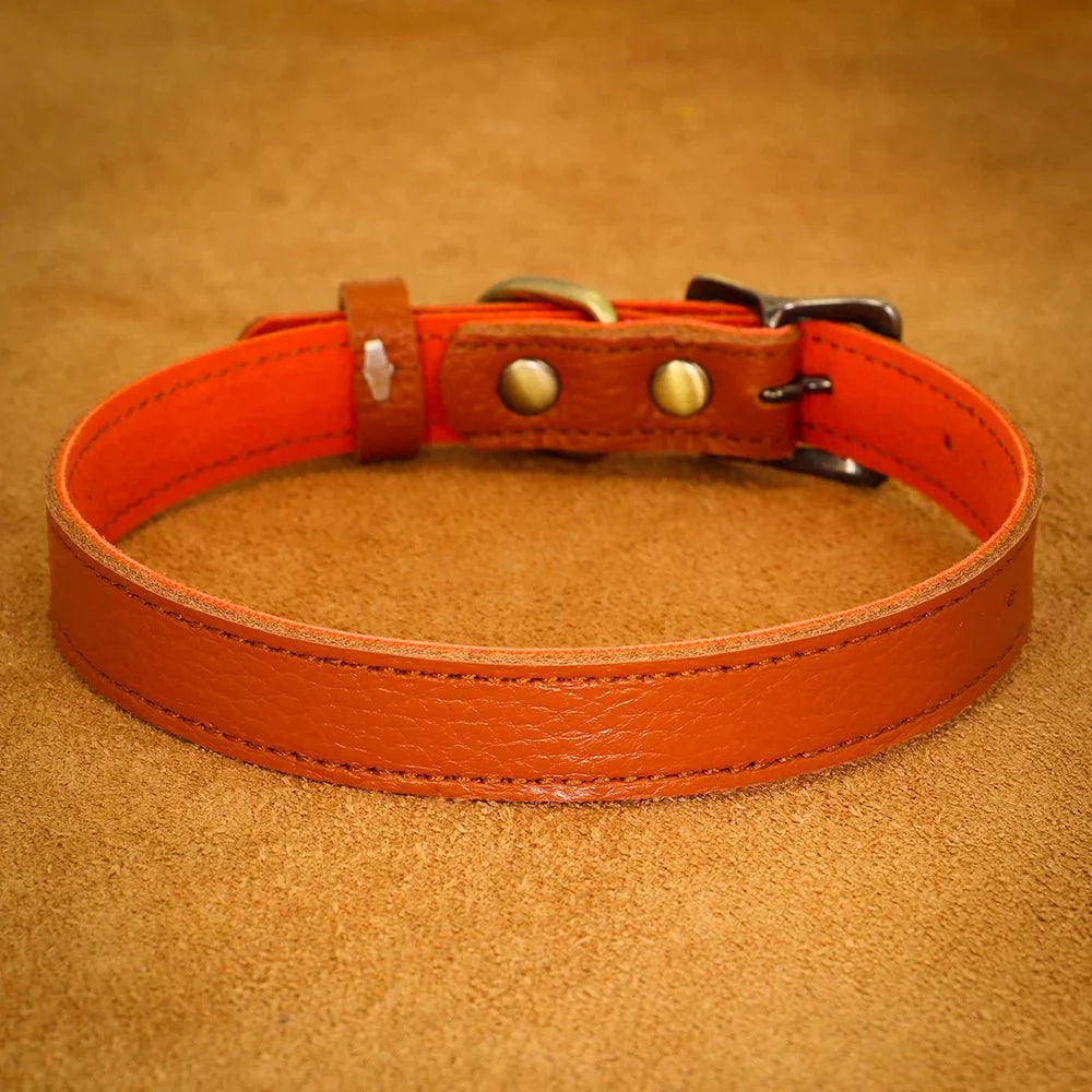 https://cdn.shopify.com/s/files/1/0647/9170/7830/files/collier-ajustable-en-cuir-pour-chien-4949152.webp?v=1777924633
