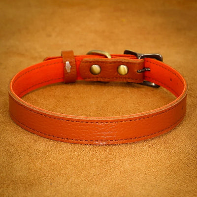 https://cdn.shopify.com/s/files/1/0647/9170/7830/files/collier-ajustable-en-cuir-pour-chien-4949152.webp?v=1777924633