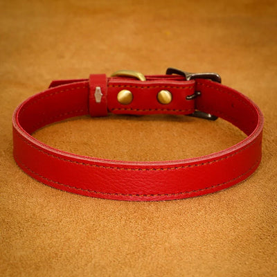 https://cdn.shopify.com/s/files/1/0647/9170/7830/files/collier-ajustable-en-cuir-pour-chien-9401955.webp?v=1777924635