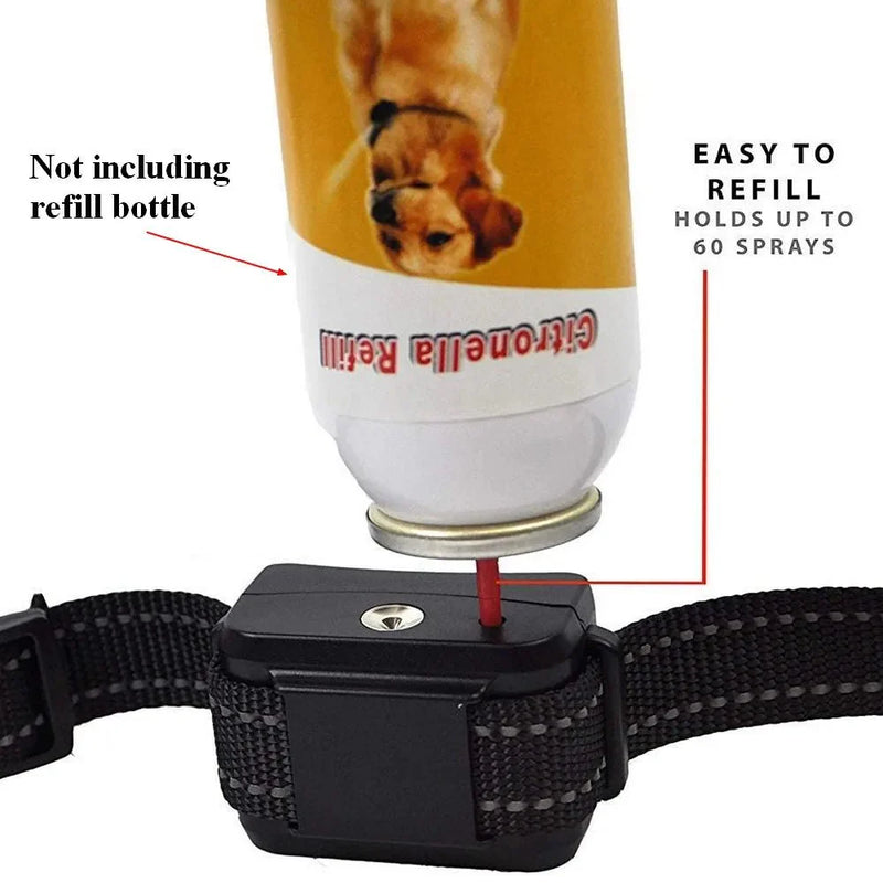 https://cdn.shopify.com/s/files/1/0647/9170/7830/files/collier-anti-aboiement-a-la-citronnelle-pour-petit-chien-7521609.webp?v=1777923553