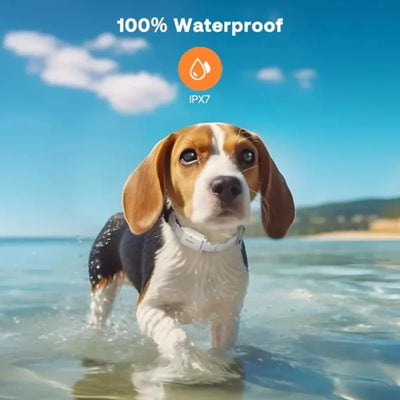 https://cdn.shopify.com/s/files/1/0647/9170/7830/files/collier-anti-aboiement-pour-petit-chien-2-kg-4316071.webp?v=1777923314
