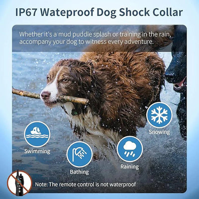 https://cdn.shopify.com/s/files/1/0647/9170/7830/files/collier-anti-aboiement-pour-petit-chien-de-2-kg-9199791.webp?v=1777923975
