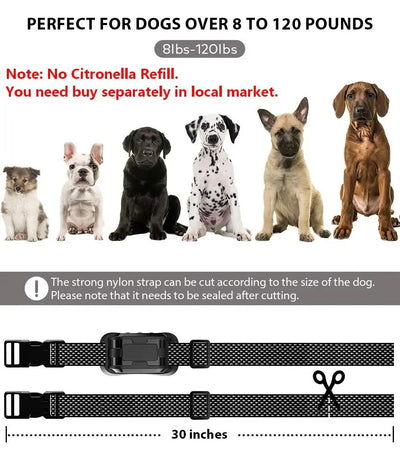 https://cdn.shopify.com/s/files/1/0647/9170/7830/files/collier-anti-aboiement-spray-pour-petit-chien-3210341.webp?v=1777924147