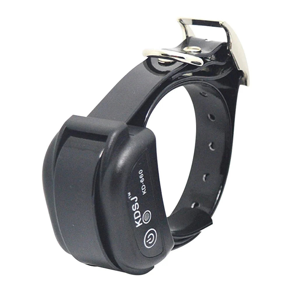 https://cdn.shopify.com/s/files/1/0647/9170/7830/files/collier-anti-fugue-pour-chien-2156294.webp?v=1777925054