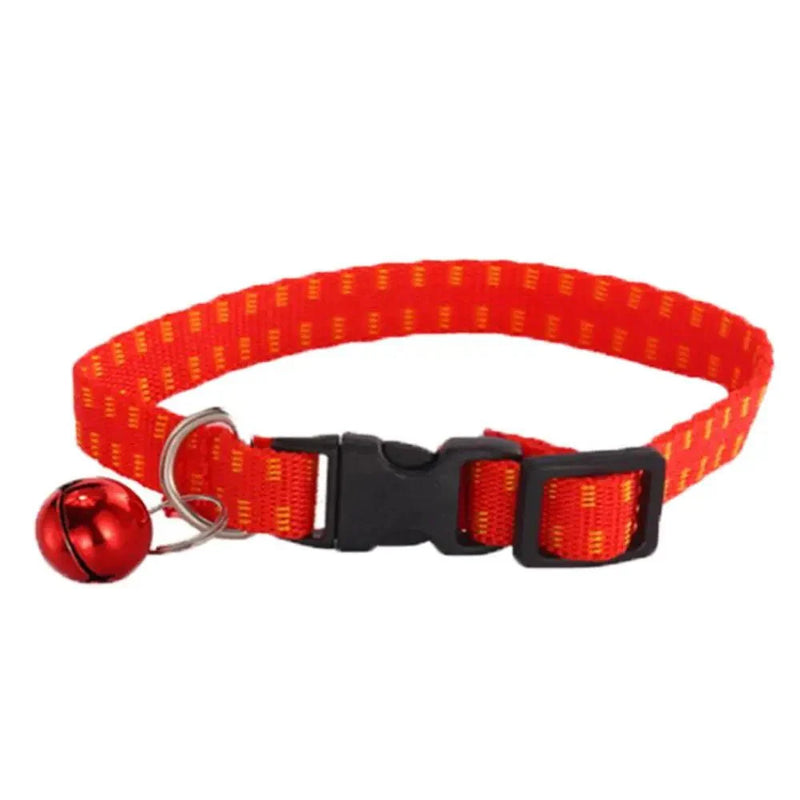 https://cdn.shopify.com/s/files/1/0647/9170/7830/files/collier-anti-puce-chiot-1706150.webp?v=1777923793
