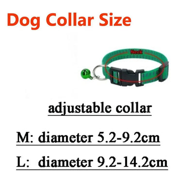 https://cdn.shopify.com/s/files/1/0647/9170/7830/files/collier-anti-puce-chiot-7176840.webp?v=1777923794