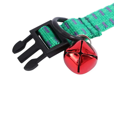https://cdn.shopify.com/s/files/1/0647/9170/7830/files/collier-anti-puce-chiot-9046127.webp?v=1777923793
