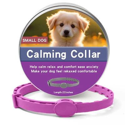 https://cdn.shopify.com/s/files/1/0647/9170/7830/files/collier-anti-stress-pour-chiot-2728759.webp?v=1777924449