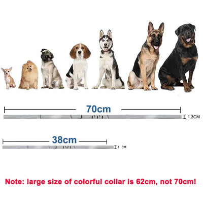 https://cdn.shopify.com/s/files/1/0647/9170/7830/files/collier-anti-tique-chiot-3502339.webp?v=1777923130