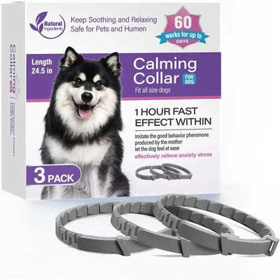 https://cdn.shopify.com/s/files/1/0647/9170/7830/files/collier-anti-tiques-pour-chien-3573827.webp?v=1777925295