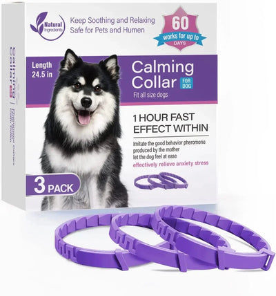 https://cdn.shopify.com/s/files/1/0647/9170/7830/files/collier-anti-tiques-pour-chien-5639300.webp?v=1777925296