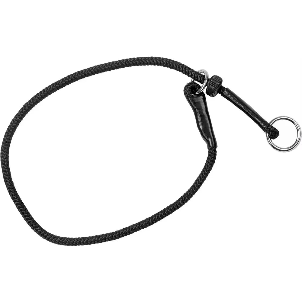 https://cdn.shopify.com/s/files/1/0647/9170/7830/files/collier-anti-traction-7778006.webp?v=1777924331